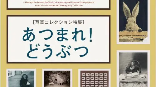 Tokyo Fuji Art Museum Admission Ticket + Special Exhibition (when being held) Tokyo Fuji Art Museum Admission Ticket + Special Exhibition (when being held) in Tokyo - Photo 4