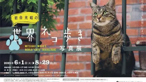 Tokyo Fuji Art Museum Admission Ticket + Special Exhibition (when being held) Tokyo Fuji Art Museum Admission Ticket + Special Exhibition (when being held) in Tokyo - Photo 7