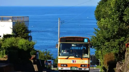 Izu Kogen & Kinosaki 1-day/2-day Free Ride Pass for Tokai Bus Transport Passes Izu Kogen & Kinosaki 1-day/2-day Free Ride Pass for Tokai Bus Transport Passes in Tokyo - Photo 3