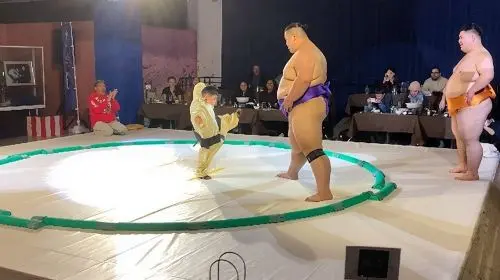 Up-Close Sumo Experience at Ochi Stable: Wear Kimono in Osaka in Tokyo