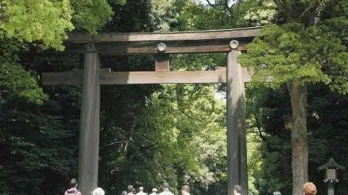Tokyo: Guided City Bus Tour + Tokyo Skytree Tembo Deck Entry + Lunch Day Tours in Tokyo