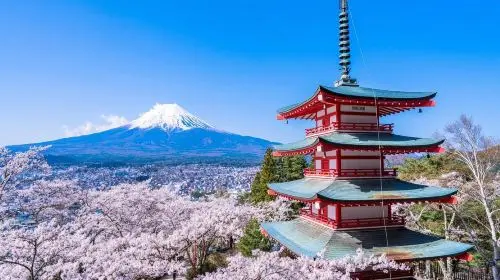 Explore Mount Fuji Area with Customizable Itinerary - Full-Day Private Tour Day Tours Explore Mount Fuji Area with Customizable Itinerary - Full-Day Private Tour Day Tours in Tokyo - Photo 6