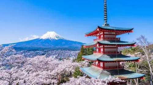 Explore Mount Fuji Area with Customizable Itinerary - Full-Day Private Tour Day Tours Explore Mount Fuji Area with Customizable Itinerary - Full-Day Private Tour Day Tours in Tokyo - Photo 4