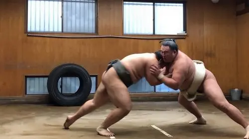 Tokyo Sumo Morning Practice Tour w/ Ring-Side Seat + Photo Shoot Day Tours in Tokyo - Photo 2