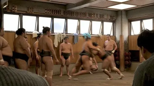 Tokyo Sumo Morning Practice Tour w/ Ring-Side Seat + Photo Shoot Day Tours in Tokyo - Photo 5