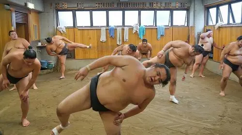 Tokyo Sumo Morning Practice Tour w/ Ring-Side Seat + Photo Shoot Day Tours in Tokyo - Photo 4