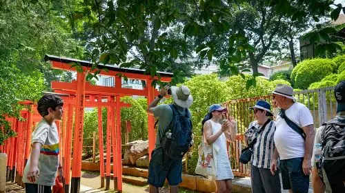 The Old Quarter of Tokyo - Yanaka Walking Tour Day Tours in Tokyo - Photo 9