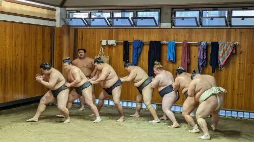 Sumo Practice Viewing Guided Tour and Photo with Sumo Wrestlers Day Tours in Tokyo - Photo 8