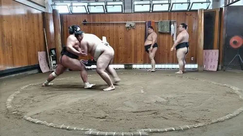 Sumo Practice Viewing Guided Tour and Photo with Sumo Wrestlers Day Tours in Tokyo - Photo 3