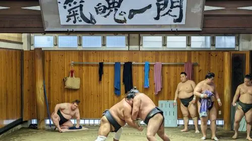 Sumo Practice Viewing Guided Tour and Photo with Sumo Wrestlers Day Tours in Tokyo - Photo 9