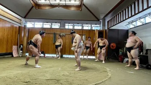 Sumo Practice Viewing Guided Tour and Photo with Sumo Wrestlers Day Tours in Tokyo