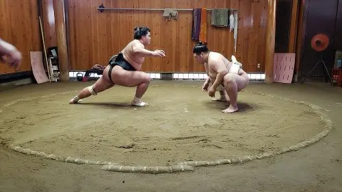 Sumo Practice Viewing Guided Tour and Photo with Sumo Wrestlers Day Tours in Tokyo - Photo 7