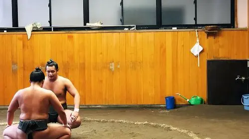 Watch Sumo Morning Practice at Stable in Tokyo Day Tours in Tokyo - Photo 3