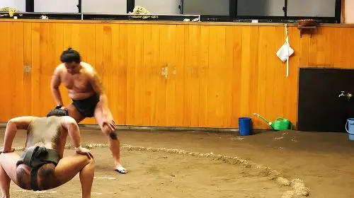 Watch Sumo Morning Practice at Stable in Tokyo Day Tours in Tokyo