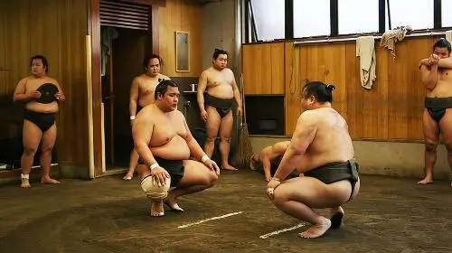 Watch Sumo Morning Practice at Stable in Tokyo Day Tours in Tokyo - Photo 5