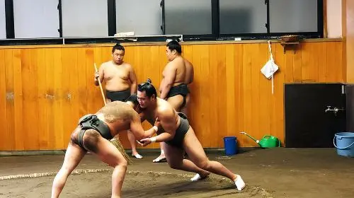 Watch Sumo Morning Practice at Stable in Tokyo Day Tours in Tokyo - Photo 9