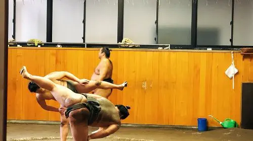 Watch Sumo Morning Practice at Stable in Tokyo Day Tours in Tokyo - Photo 2