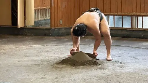 Tokyo: Visit Sumo Morning Practice with English Guide Day Tours in Tokyo - Photo 5