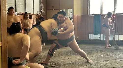 Tokyo: Visit Sumo Morning Practice with English Guide Day Tours in Tokyo