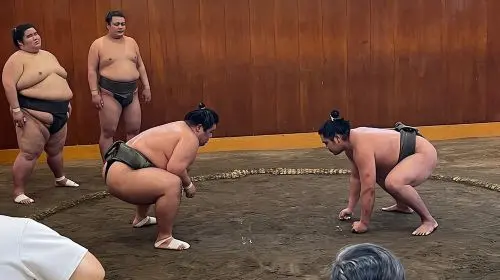 Chair Seat Guaranteed SUMO Practice +Photo +Culture Option Day Tours in Tokyo - Photo 8