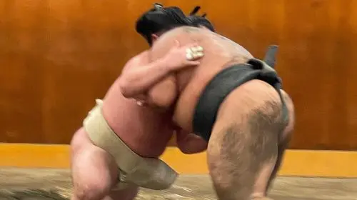 Chair Seat Guaranteed SUMO Practice +Photo +Culture Option Day Tours in Tokyo