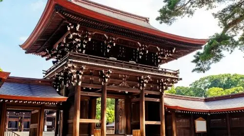 Explore Tokyo with Customizable Itinerary - Private Tour Day Tours in Tokyo - Photo 4