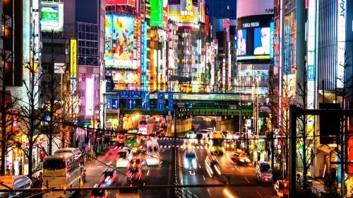 Explore Tokyo with Customizable Itinerary - Private Tour Day Tours in Tokyo - Photo 2
