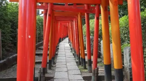 Yanaka: historical walking tour in Tokyo's old town in Tokyo - Photo 9