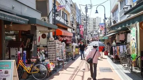Yanaka: historical walking tour in Tokyo's old town in Tokyo - Photo 7