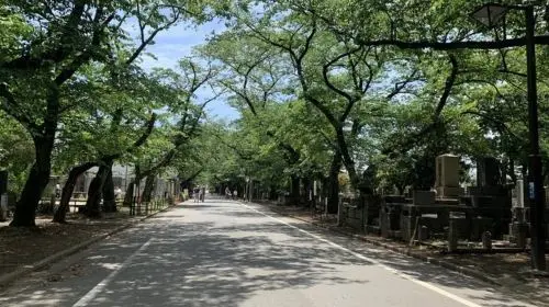 Yanaka: historical walking tour in Tokyo's old town in Tokyo - Photo 4