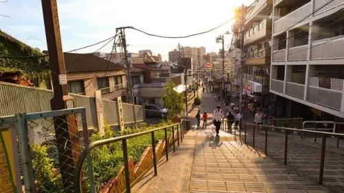 Yanaka: historical walking tour in Tokyo's old town in Tokyo - Photo 6
