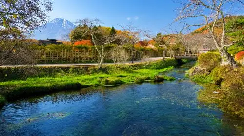 Mount Fuji Private Charter Day Tour [Panoramic Views of Mount Fuji|Hotel transfer service|Attractions in the itinerary can be customized. Day Tours in Tokyo - Photo 2