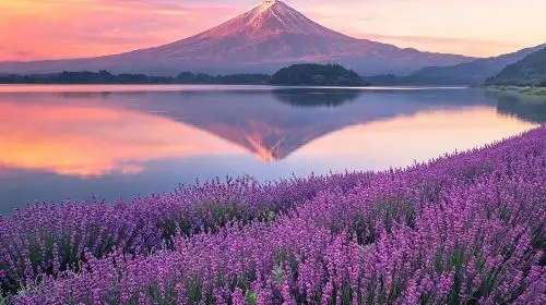 Mount Fuji Private Charter Day Tour [Panoramic Views of Mount Fuji|Hotel transfer service|Attractions in the itinerary can be customized. Day Tours in Tokyo - Photo 5