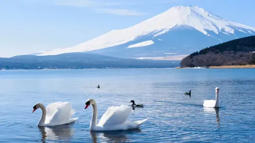 Fuji classic route: Lake Kawaguchi, Arakurayama Sengen Park and Lawson 1-day tour from Tokyo Day Tours in Tokyo