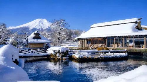 Fuji classic route: Lake Kawaguchi, Arakurayama Sengen Park and Lawson 1-day tour from Tokyo Day Tours Fuji classic route: Lake Kawaguchi, Arakurayama Sengen Park and Lawson 1-day tour from Tokyo Day Tours in Tokyo - Photo 4