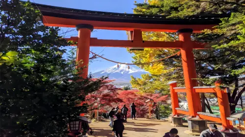 Fuji classic route: Lake Kawaguchi, Arakurayama Sengen Park and Lawson 1-day tour from Tokyo Day Tours Fuji classic route: Lake Kawaguchi, Arakurayama Sengen Park and Lawson 1-day tour from Tokyo Day Tours in Tokyo - Photo 2