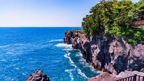 Izu Omuroyama Day Tour from Tokyo: Mt. Omuro & Izu Shaboten Zoo & Resort 21 oceanview train & Jogasaki Coast (Join-in Small Group Max 9 | Hotel Pick-up Option) Day Tours Izu Omuroyama Day Tour from Tokyo: Mt. Omuro & Izu Shaboten Zoo & Resort 21 oceanview train & Jogasaki Coast (Join-in Small Group Max 9 | Hotel Pick-up Option) Day Tours in Tokyo - Photo 4