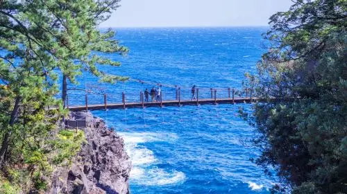 Izu Omuroyama Day Tour from Tokyo: Mt. Omuro & Izu Shaboten Zoo & Resort 21 oceanview train & Jogasaki Coast (Join-in Small Group Max 9 | Hotel Pick-up Option) Day Tours Izu Omuroyama Day Tour from Tokyo: Mt. Omuro & Izu Shaboten Zoo & Resort 21 oceanview train & Jogasaki Coast (Join-in Small Group Max 9 | Hotel Pick-up Option) Day Tours in Tokyo - Photo 9