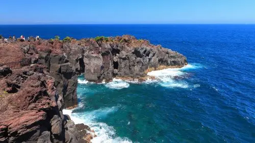 Izu Omuroyama Day Tour from Tokyo: Mt. Omuro & Izu Shaboten Zoo & Resort 21 oceanview train & Jogasaki Coast (Join-in Small Group Max 9 | Hotel Pick-up Option) Day Tours Izu Omuroyama Day Tour from Tokyo: Mt. Omuro & Izu Shaboten Zoo & Resort 21 oceanview train & Jogasaki Coast (Join-in Small Group Max 9 | Hotel Pick-up Option) Day Tours in Tokyo - Photo 3