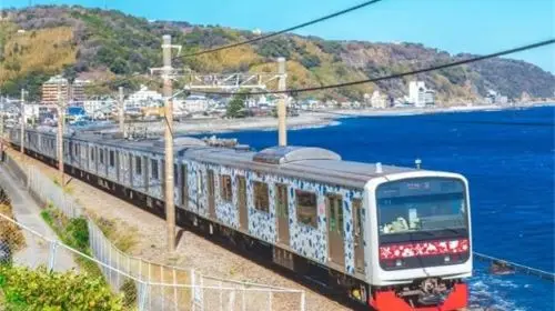 Izu Omuroyama Day Tour from Tokyo: Mt. Omuro & Izu Shaboten Zoo & Resort 21 oceanview train & Jogasaki Coast (Join-in Small Group Max 9 | Hotel Pick-up Option) Day Tours Izu Omuroyama Day Tour from Tokyo: Mt. Omuro & Izu Shaboten Zoo & Resort 21 oceanview train & Jogasaki Coast (Join-in Small Group Max 9 | Hotel Pick-up Option) Day Tours in Tokyo - Photo 5