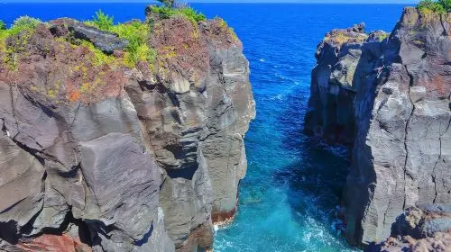 Izu Omuroyama Day Tour from Tokyo: Mt. Omuro & Izu Shaboten Zoo & Resort 21 oceanview train & Jogasaki Coast (Join-in Small Group Max 9 | Hotel Pick-up Option) Day Tours Izu Omuroyama Day Tour from Tokyo: Mt. Omuro & Izu Shaboten Zoo & Resort 21 oceanview train & Jogasaki Coast (Join-in Small Group Max 9 | Hotel Pick-up Option) Day Tours in Tokyo - Photo 6