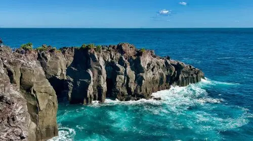 Izu Omuroyama Day Tour from Tokyo: Mt. Omuro & Izu Shaboten Zoo & Resort 21 oceanview train & Jogasaki Coast (Join-in Small Group Max 9 | Hotel Pick-up Option) Day Tours Izu Omuroyama Day Tour from Tokyo: Mt. Omuro & Izu Shaboten Zoo & Resort 21 oceanview train & Jogasaki Coast (Join-in Small Group Max 9 | Hotel Pick-up Option) Day Tours in Tokyo - Photo 2