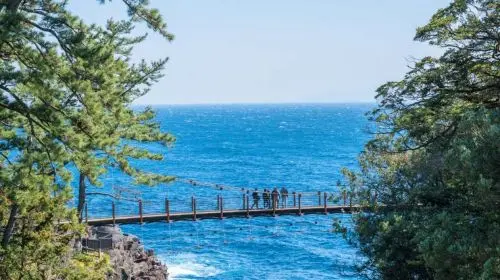 Izu Omuroyama Day Tour from Tokyo: Mt. Omuro & Izu Shaboten Zoo & Resort 21 oceanview train & Jogasaki Coast (Join-in Small Group Max 9 | Hotel Pick-up Option) Day Tours in Tokyo