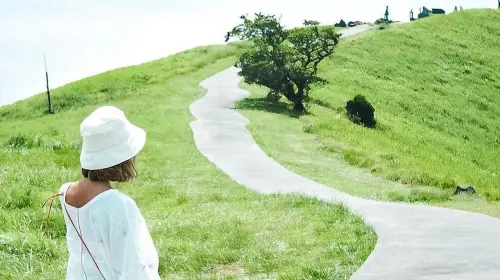 Small group for 9 people optional · 1-day tour to Mt. Omuro in Izu with panoramic views · Includes free scenic train ride + hotel pick-up service available Day Tours in Tokyo - Photo 2
