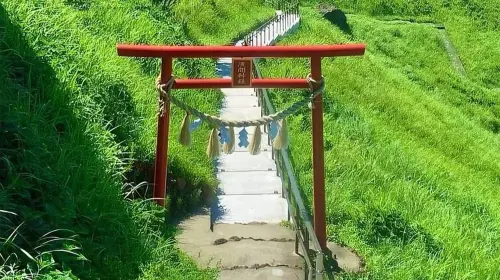 Small group for 9 people optional · 1-day tour to Mt. Omuro in Izu with panoramic views · Includes free scenic train ride + hotel pick-up service available Day Tours in Tokyo - Photo 9