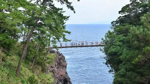 Small group for 9 people optional · 1-day tour to Mt. Omuro in Izu with panoramic views · Includes free scenic train ride + hotel pick-up service available Day Tours in Tokyo - Photo 7