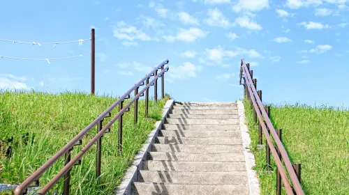 Small group for 9 people optional · 1-day tour to Mt. Omuro in Izu with panoramic views · Includes free scenic train ride + hotel pick-up service available Day Tours in Tokyo - Photo 5