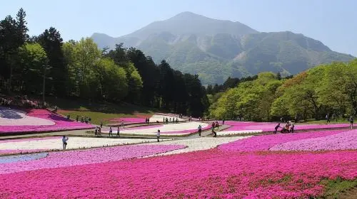 [Official Ticket] Seibu Railway One-Day Pass | Nagatoro/Moomin Valley Park/Seibu Kawagoe Pass ~ Optional Packages Available Transport Passes in Tokyo - Photo 8