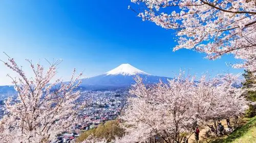 Popular 1-day tour featuring panoramic Lake Tanuki and Makaino Farm Resort [9-person group with hotel pickup service] Day Tours in Tokyo - Photo 4