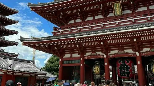 Tokyo: Guided Half-Day Bus Tour + Tokyo Tower Observatory Entry Day Tours in Tokyo